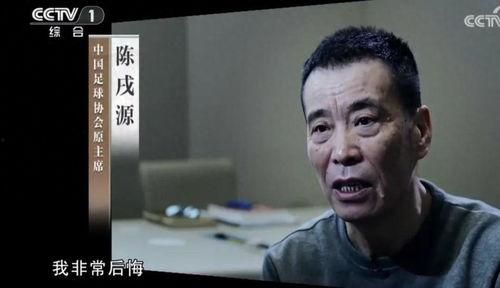 老陈头爆料大奇视频,老陈头独家爆料背后的真相