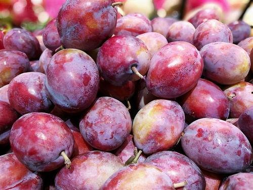 娱乐吃瓜少女西梅拿铁,娱乐吃瓜少女的趣味生活揭秘 第2张 娱乐吃瓜少女西梅拿铁,娱乐吃瓜少女的趣味生活揭秘 第2张