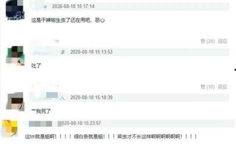 嘉欣爆料鹤轩聊天记录视频,揭秘背后惊人真相 第3张 嘉欣爆料鹤轩聊天记录视频,揭秘背后惊人真相 第3张